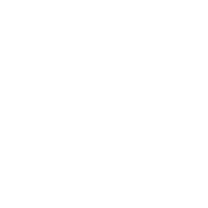 Network Privacy Sheild